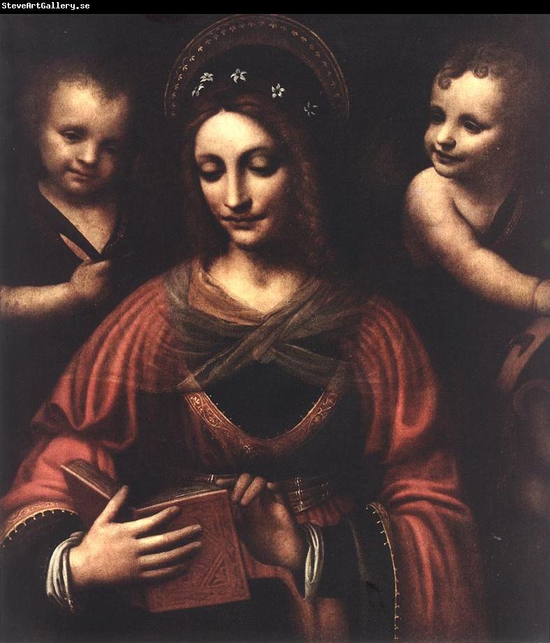 LUINI, Bernardino Saint Catherine a
